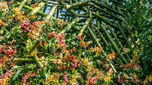 The bronx botanical gardens host over one million plants showcased in the center's fifty gardens. The New York Botanical Garden Has Hired Its First Female President Garden Collage Magazine