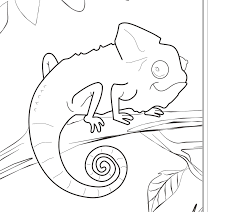Cute Zoo Animals Coloring Pages Zoo Animal Coloring Pages Realistic Coloring Pages Zoo Animal Coloring Pages Animal Coloring Pages Animal Coloring Books