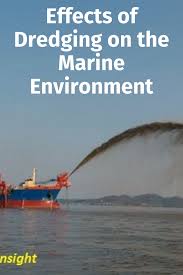 Effects Of Dredging On The Marine Environment Marine Environment Marine Engineering Marine Pollution