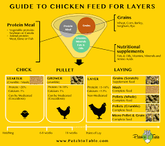 Mash Pellets Or Crumble Feed The Result Will Surprise You