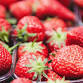 Strawberry Festival