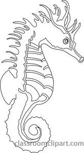 Sea Horse Clipart Outline Jpg Animals Black And White Seahorse Art Sea Creatures Drawing