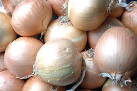 Check spelling or type a new query. No Need For Tears If You Plant Onions Soon Oregon State University