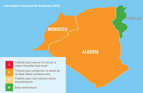 L'avortement est dangereux quand la grossesse est fort avancée, & qu'ainsi le fœtus est d'une grosseur considérable ; Algerie Le Droit A L Avortement En Debat A L Assemblee Nationale Jeune Afrique