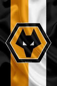 pin on wolverhampton wanderers