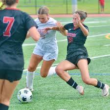 Image result for Emilia libeniana