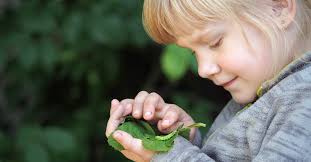 Nurturing the Caterpillar: Ten Characteristics of Young Learners