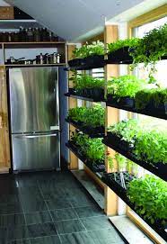 Perfect Indian Apartment Balcony Garden Ideas Only In Shopy Home Design Herb Garden In Kitchen Home Garden Design Home