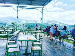 Dưới đây là hình ảnh về quán cafe chồn mê linh view ở đà lạt. Me Linh Coffee Garden Quan Ca Phe Co View Ä'áº¹p 1 Ä'a Láº¡t