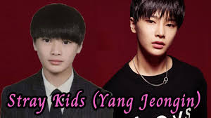 His birth name is yang jeongin (양정인) and he was born in busan, south korea on february 8th, 2001. Stray Kids Predebut ì–'ì •ì¸ Yang Jeongin Youtube