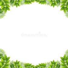 This pack of one world tropical leaves scalloped borders . Leaf Border Stock Vector Illustration Of Layered Embellish 20938794