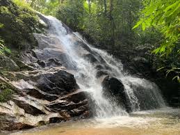 Check spelling or type a new query. Kanching Waterfall Hike Pokok Kelapa