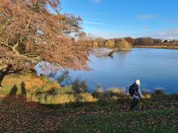 Here's what you need to know before you go. 15 Issues Police Attended In Richmond Park Over Weekend Richmond Nub News