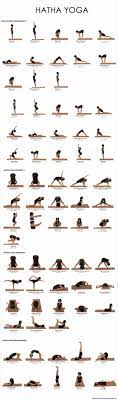 It's a simple position that builds a foundation for other poses that involve the lower. Yoga Poses Workout Different Types Of Yoga And Their Benefits Benefits Of Yoga About Yoga Blog Home Of Yoga The Zen Way Of Teaching Yoga Online