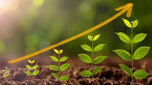 Maybe you would like to learn more about one of these? Rapyd Launches Venture Arm To Invest In Early Stage Fintech Startups