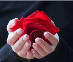 Pin On Beautiful Muslim Girls