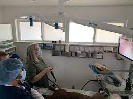A free inside look at company reviews and salaries posted anonymously by employees. Companion Animal Hospital 19 Photos 43 Reviews Veterinarians 7132 Hwy 71 W Austin Tx Phone Number