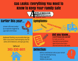 Propane tanks are used in various household purposes such as heating the water for your shower and for cooking your food. How To Detect A Gas Leak Infographic Applewood