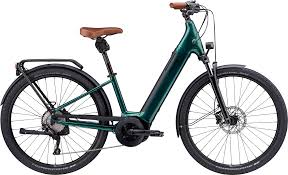 They can be returned at any empty bikebox at any station. Cannondale Adventure Neo 1 Eq Emerald E Citybike 2021 E City E Bikes