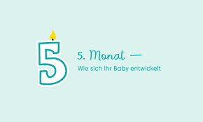 It has attained significance throughout history in part because typical humans have five. Baby 5 Monat Entwicklung Gewicht Schlafen Pampers