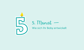 (20.15 uhr) 7.wie viel geld hast du bekommen? Baby 5 Monat Entwicklung Gewicht Schlafen Pampers