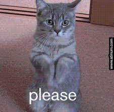 We did not find results for: Please Gifs Get The Best Gif On Giphy