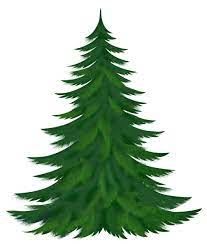 Transparent Pine Tree Png Picture Christmas Tree Clipart Christmas Tree Art Christmas Crafty