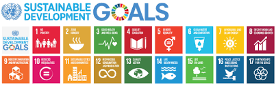 As countries establish and enact national plans for achieving the sdgs, the global compact's local networks in. Geo