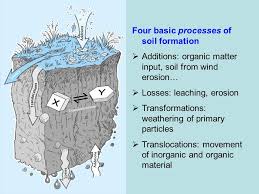 Effects of weathering and new formation of minerals, mobilisation. Soil Formation Begins With Weathering Of Bedrock Ppt Video Online Download