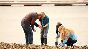 Explore Hood Canal And Mason County