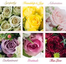 Optimism, abundance, wealth, joy, and truth; Top 10 Valentines Flowers For Her 2018 Appleyard London