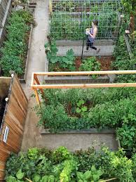 How To Build A Simple Raised Bed Garden Layout Raised Vegetable Gardens Backyard Garden