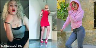 وكانت حنين حسام (19 عاما) قدنشرت فيديو عبر تطبيق تيك توك، هي شبكة اجتماعية صينية لمقاطع الفيديو الموسيقية عن حاجتها إلى فتيات في الـ 18 أو 19 من عمرهن من أجل الرقص. ØªÙØ§ØµÙŠÙ„ Ø¬Ù„Ø³Ø§Øª Ù…Ø­Ø§ÙƒÙ…Ø© Ø­Ù†ÙŠÙ† Ø­Ø³Ø§Ù… ÙˆÙ…ÙˆØ¯Ø© Ø§Ù„Ø£Ø¯Ù‡Ù… Ø¨Ù‚Ø¶ÙŠØ© Ø§Ù„ØªØ­Ø±ÙŠØ¶ Ø¹Ù„Ù‰ Ø§Ù„ÙØ³Ù‚ ÙˆØ§Ù„Ø¥ØºØ±Ø§Ø¡ ÙˆØ·Ù† Ø§Ù„Ø¯Ø¨ÙˆØ±
