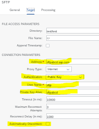 Next, edit the file.ssh/authorized_keys using your preferred editor. Cloud Integration How To Setup Secure Connection To Sftp Server Sap Blogs