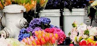 Deflorex floristas, dada la situación que estamos viviendo modificamos nuestro horario de cierre por las tardes. Floristeria Isabel San Sebastian De Los Reyes Calle Real 67 Bajo Floristerias Paginas Amarillas