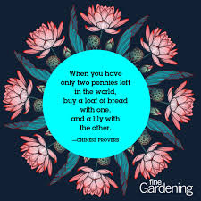 The best of flower quotes, as voted by quotefancy readers. Ten Of The Best Spring Quotes Finegardening
