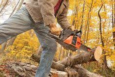 We will find the best tree service near you (distance 5 km). 32 Arborist Near Me Ideas Arborist Tree Service Tree Removal