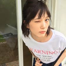 tsubasa honda wink kecantikan