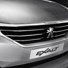 Image result for Framboise 2014 Peugeot