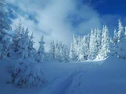 pin on skiweather eu