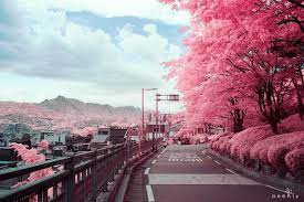 If you're looking for something to do in south korea's bustling capital, here are the best things to see and do in seoul (with a map). Seoul South Korea Shared By ððµð¸ð¹ð¾ On We Heart It