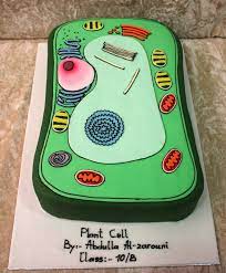 Pictures of plant cell cakes. Plant Cell Cake Irena Flickr