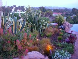 Pin By Kristin Thompson On California Native Garden Drought Tolerant Landscape Design Drought Tolerant Garden Drought Resistant Landscaping