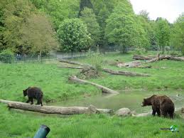 Information and translations of tiergarten in the most comprehensive dictionary definitions resource on the web. Tiergarten Weilburg Highlights Tipps Zum Besuch Im Wildpark Freizeitpark Welt De