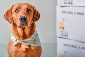 Bj's raw pet food is based on a family farm right here in the garden spot of lancaster county, pa. Scotland Based Bella Duke Raises 3 9 Million To Grow Its Raw Pet Food Delivery Eu Startups