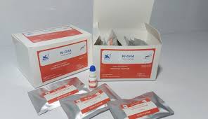 Brexit check what you need to do. Ugm Leads Ri Gha Covid 19 Rapid Test Research Innovation Universitas Gadjah Mada