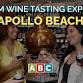 ABC Apollo Beach Premium Wine Tasting Experience