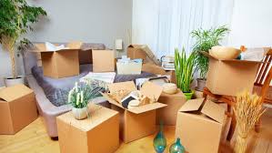 Where To Buy Moving Boxes Pereezd
