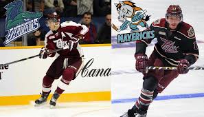 This website uses cookies to ensure we provide you the best user experience and deliver content specific to you. From The Patch To The Jungle Transitioning From The Ohl To The Echl Peterborough Petes