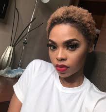African hairstyles, faux locs, hairstyles, rubber hair, nigeria, nigerian women, nigerian women hairstyles, natural hairstyles. 7 Nigerian Female Celebrities That Gives Us Hair Goals With Their Blonde Natural Hairstyles